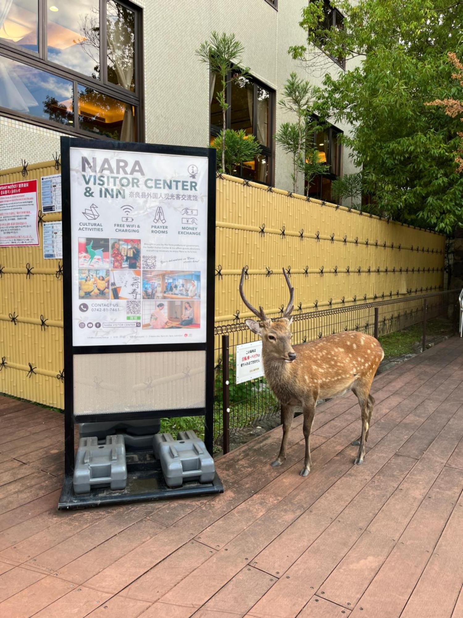 Nara Visitor Center And Inn Exterior foto